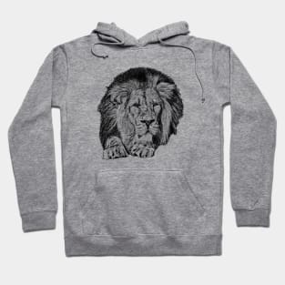 Lion portrait Hoodie